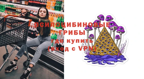 эйфоретик Алексин