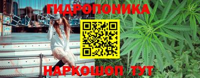 гидра Изобильный