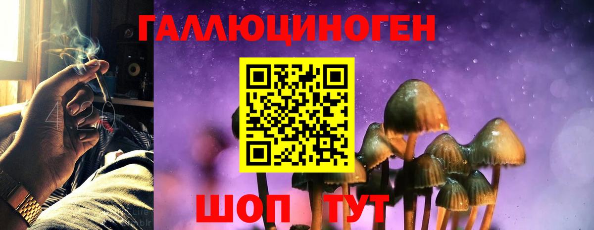 Псилоцибиновые грибы Cubensis Мирный